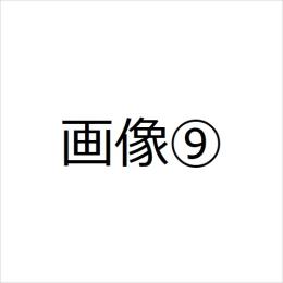 テスト0001
