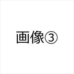 テスト0001