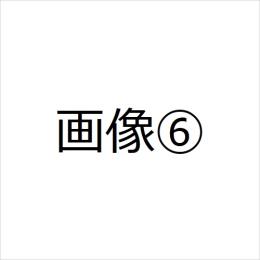 テスト0001