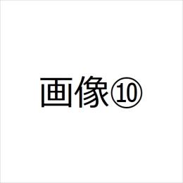 テスト0001